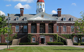 Image Here