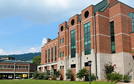 Image Here